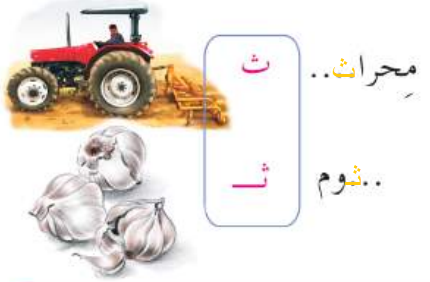 محراث - ثوم